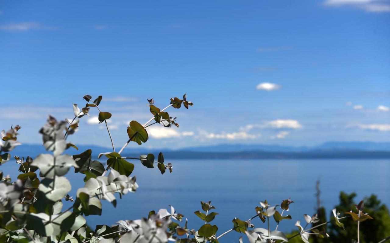 Apartments Near The Beach, With Terraces And Seaview At House B. Mošćenička Draga Buitenkant foto